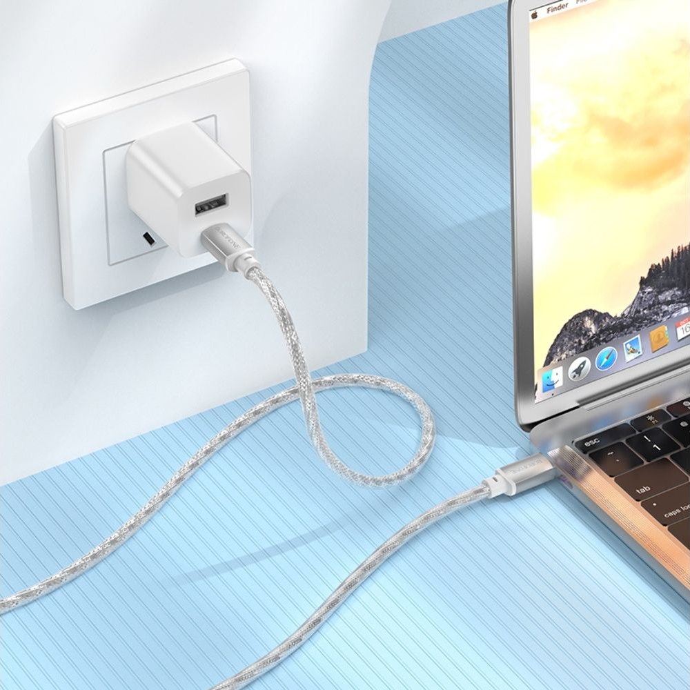 USB- Borofone BX95, Type-C  Type-C, Power Delivery (60 ), 100 , 