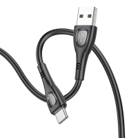 USB- Borofone BX98, Type-C, 100 , 
