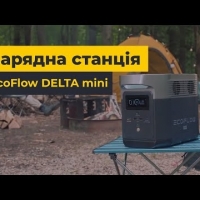   EcoFlow DELTA mini (882 /)